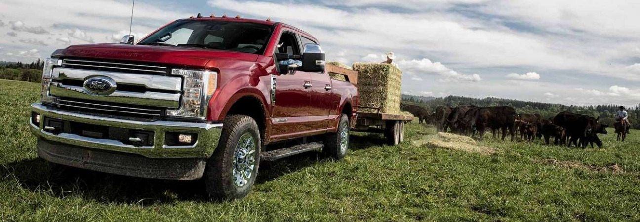 Red 2019 Ford F-250 pulling trailer of hay through field of cattle