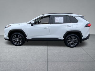 2024 Toyota RAV4 Hybrid XLE Premium