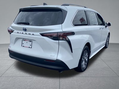 2025 Toyota Sienna XLE 8 Passenger