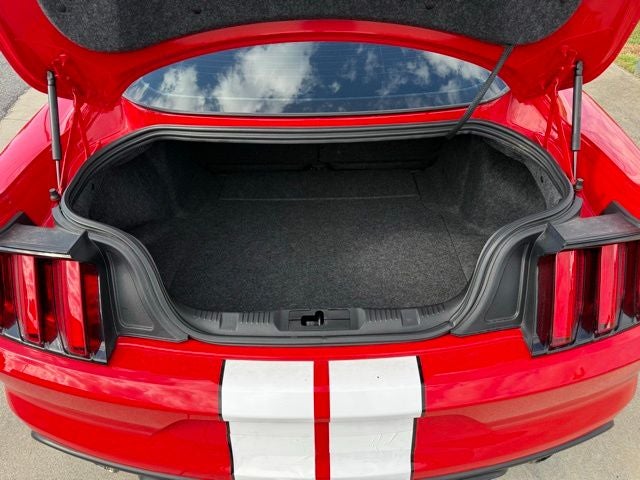 2017 Ford Mustang Shelby GT350