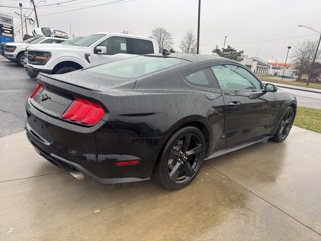 2022 Ford Mustang EcoBoost