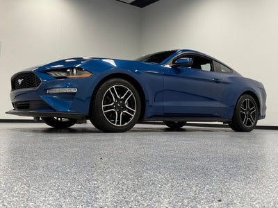 2023 Ford Mustang EcoBoost