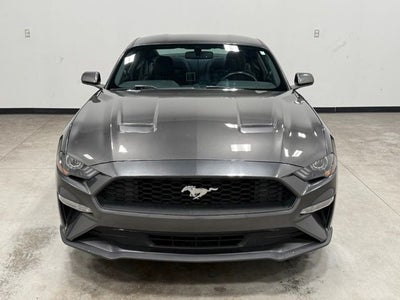 2019 Ford Mustang EcoBoost