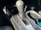 2018 Acura RDX Technology Package