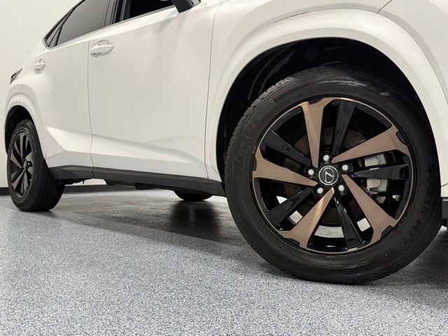 2020 Lexus NX 300 Base