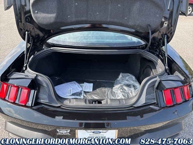 2025 Ford Mustang Dark Horse