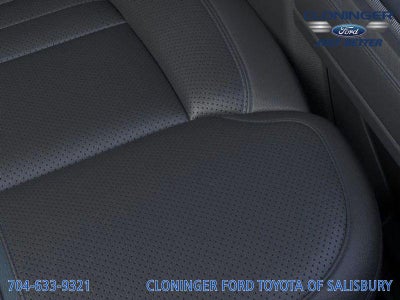 2025 Ford F-250 Platinum